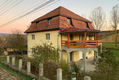 Vand casa mare+65 arii teren intravilan - 1