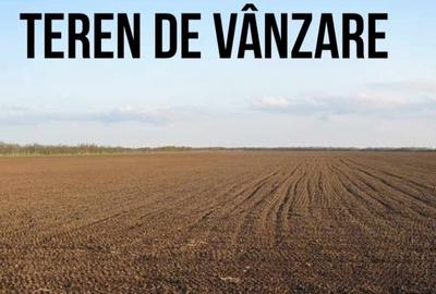 Teren de 937 mp, în Ion Creangă - 2