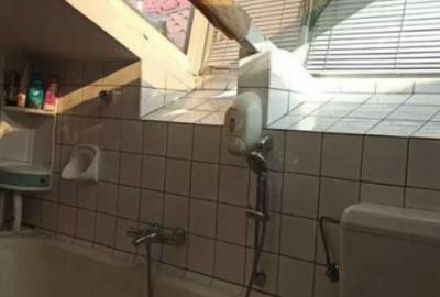 Casă cu 5 camere în Panduri - 2