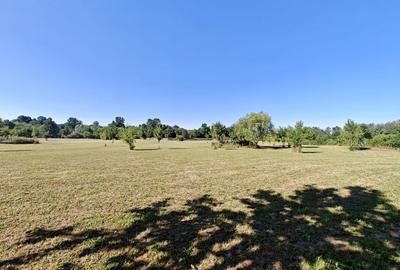 Teren agricol extravilan de 12600 mp, în Ghiroda - 5
