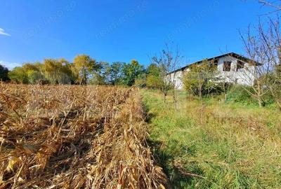 Teren Intravilan de 19000 mp, Ocna Mures - 6