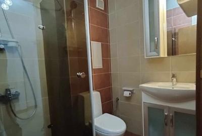 Apartament cu 2 camere de inchiriat in zona Pantelimon - 8