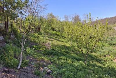 🏡 Casă renovată + teren 1.400 mp în zonă montană – Comuna Răcoasa, jud. Vrancea - 6