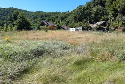 Mraconia,Clisura Dunarii unic in zona panorama deosebita comision 0! Teren de investitie - 6