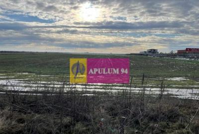 Teren de 4050 mp, în Mihăilești