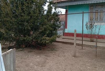 Casă în Blăgești - 2