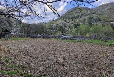 Casă în Ciungetu - 10