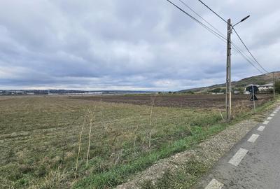 Teren 17500 mp, zona Gaureni,str. Eroilor Teren 17500 mp, zona Gaureni,str. Eroilor - 2