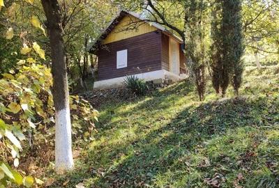 Teren Construcții intravilan de 9100 mp, în Viile Noi - 6
