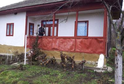 Casă cu 2 camere în Central - 2