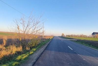 Spațiu comercial, în Răchiți - 6