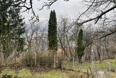 Teren 1357 mp cu vedere panoramica superba Dimitrie Cantemir, Piatra-Neam? - 6