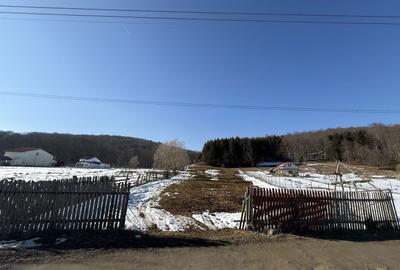 Teren Construcții intravilan de 4521 mp, în Valea Doftanei - 1