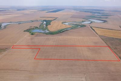 FRUMUSANI - PASAREA, TEREN 14420 MP, FRONT 40 M! - 9