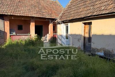 Casă cu 4 camere în Jupani - 5