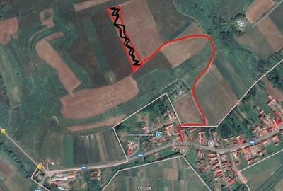 Teren de 11700 mp, în Lovnic - 2