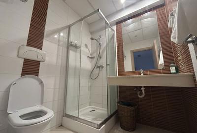 Apartament cu 2 camere semidecomandat în Văcăresti - 4
