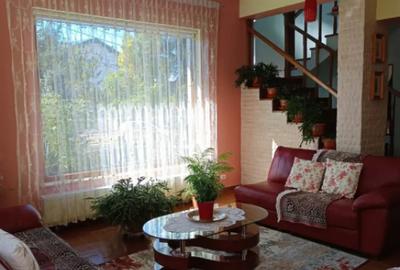 Casă cu 5 camere cu Teren 698 Mp în Albert