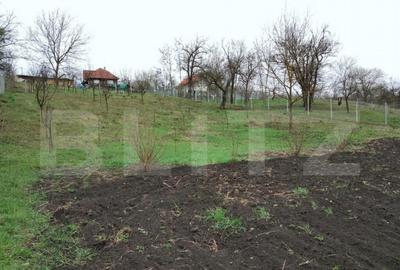 Teren intravilan de vanzare in Calarasi langa Turda! - 2