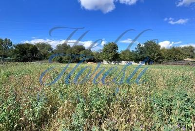 Oportunitate investitie, teren intravilan zona Terapia 2877mp - 1