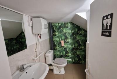 Spatiu birou, 45 mp, Central - 4