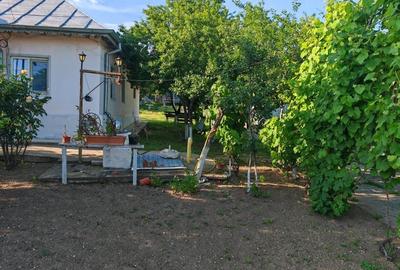 Casă individuală cu 3 camere cu Teren 300 Mp în Bucșani - 6