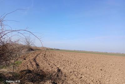 RECO Teren intravilan aproape de zona industriala Biharia - 4