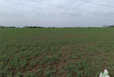 TEREN 10000 MP, ZONA SERE - 12