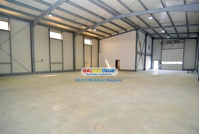 Hala 590 mp Chitila Rudeni- centura - 11