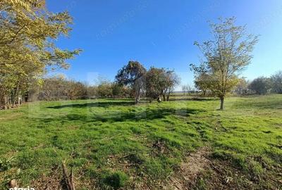 OPORTUNITATE TEREN 0,9 Ha intravilan constructii+extravilan - 4