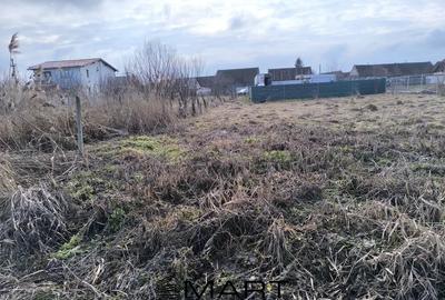 Teren Construcții intravilan de 700 mp, în Cristian