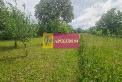 Casă de vânzare în Bănești - 24