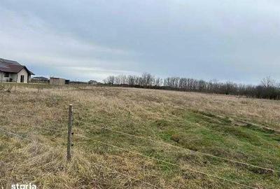 Teren de 13100 mp, în Central