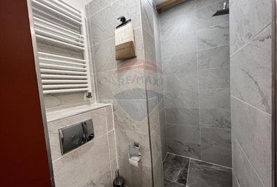 Apartament cu 5 camere semidecomandat în Grigorescu - 29