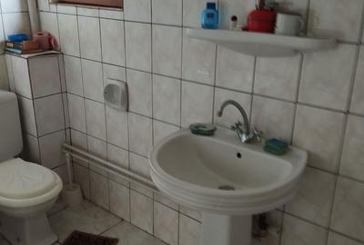 Casă cu 2 camere cu Teren 8000 Mp în Budieni - 1
