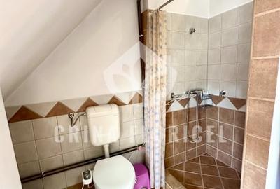 Vanzare mansarda 3 camere - str Serg.Maj.Ancuta Ilie - zona Parcul Carol - 9