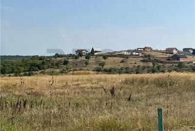 Teren de 1143 mp, în Sânmartin - 5