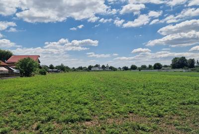Teren intravilan 9 470 mp – Bolintin-Deal - 2