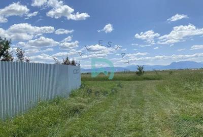 Casa independenta energetic, Prejmer - 11