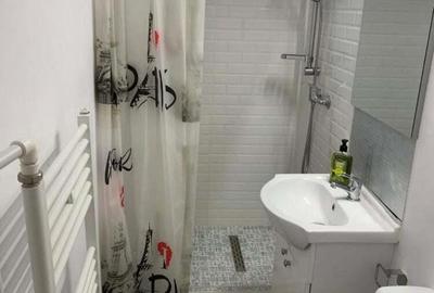 Apartament cu 1 camera Becas - 4