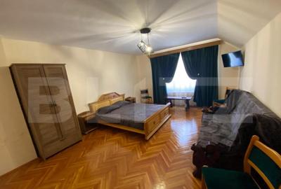 Vila 7 camere, 750mp-teren, BAILE HERCULANE - 3