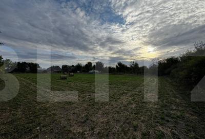 Casa 4 camere cu teren de 3892 mp - 7