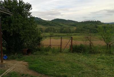 Casă cu 3 camere cu Teren 2335 Mp în Ohaba - 7