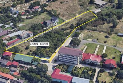 TEREN DE VANZARE - 6.312 MP - FÂNTANA DOMNEASCĂ - Dezvoltare Majoră lângă Lac - 3