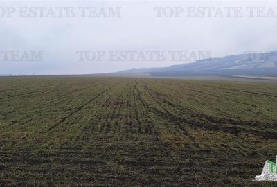 Teren Construcții intravilan de 18620 mp, în Exterior Est - 5