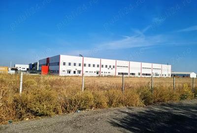 Teren de 8000 mp, în Măgurele - 11