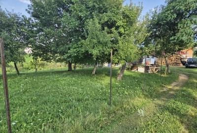 2000 mp, teren intravilan Pestera, Brasov, comision 0% - 1
