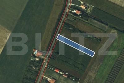 Teren de 2500 mp, în Sud