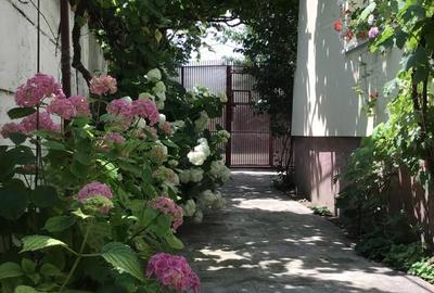 Casă cu 3 camere în Central - 5