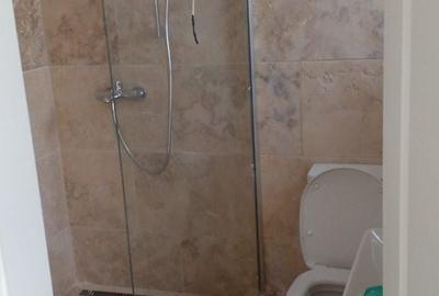 Casă individuală cu 4 camere cu Canalizare în Drumul Taberei - 24